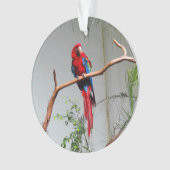 Ornement Macaw à ailes vertes #2 (devant)
