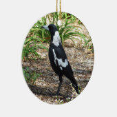 Ornement Magpie australien (Droite)