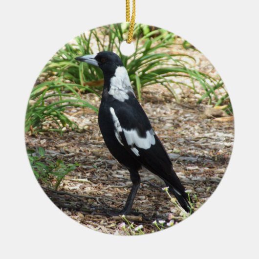 Ornement Magpie australien (Devant)
