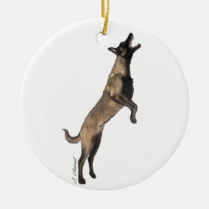 Ornement malinois belge