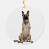 Ornement malinois belge (Dos)