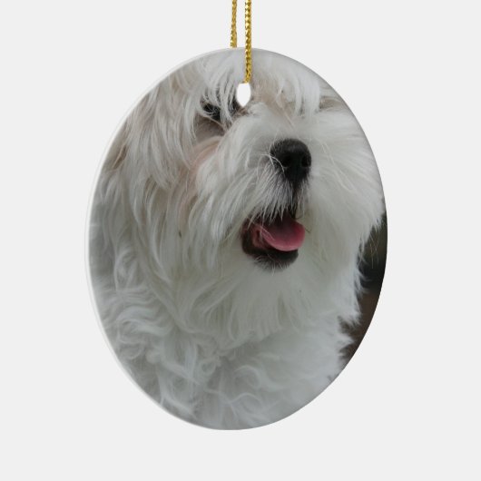 Ornement maltais (Droite)