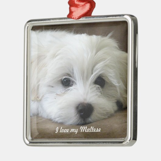 Ornement maltais (Gauche)