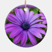 Ornement marguerrier Fleurs violettes Décoration d (Dos)