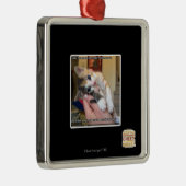 Ornement Métallique Aaaws (Droite)