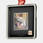 Ornement Métallique Aaaws (Gauche)