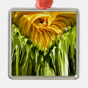 Ornement Métallique Abstrait tournesol rétro funky, géométrie effrayée