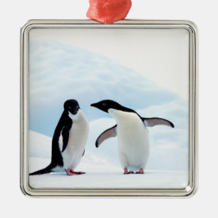 Ornement Métallique Adelie Penguins