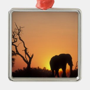 Ornement Métallique Afrique, Botswana, Parc national de Chobe, Décor