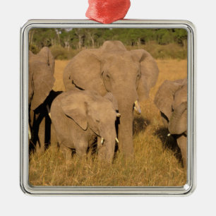 Ornement Métallique Afrique, Kenya, Masai Mara. Éléphant d'Afrique