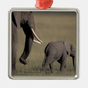 Ornement Métallique Afrique, Kenya, Parc national d'Amboseli. Africain