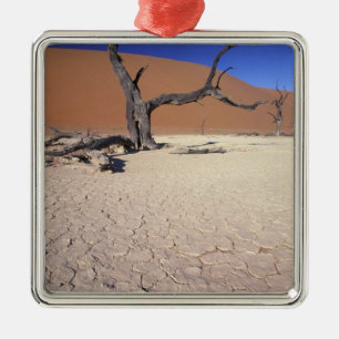 Ornement Métallique Afrique, Namibie, région de Sossusvlei. Dunes de s