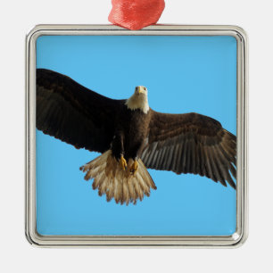 Ornement Métallique Aigle volant Oiseau de Prey Art