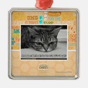 Ornement Métallique Alerte de Grumpage