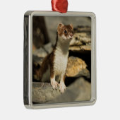 Ornement Métallique Alerte Weasel (Droite)