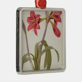 Ornement Métallique Amaryllis Brasiliensis (Droite)