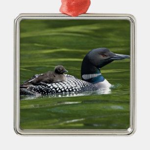 Ornement Métallique Amérique du Nord, Canada, Colombie-Britannique, La