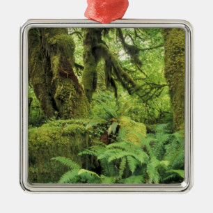 Ornement Métallique Amérique du Nord, États-Unis, Washington, Jeux o