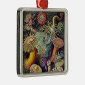 Ornement Métallique Anémone de mer Nature scientifique Océan (Droite)