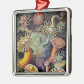 Ornement Métallique Anémone de mer Nature scientifique Océan (Gauche)