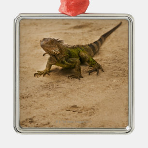 Ornement Métallique Aruba, lézard sur le sable