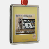 Ornement Métallique Balcon Kitteh de St de Burbon (Droite)