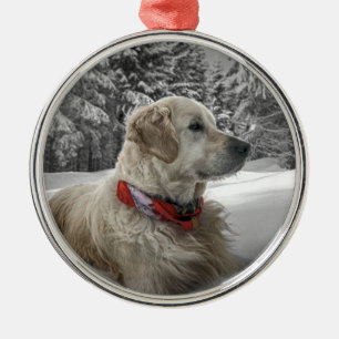 Ornement Métallique Beau golden retriever dans la neige