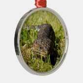 Ornement Métallique Blue Tongue Lizard Creeping (Droite)