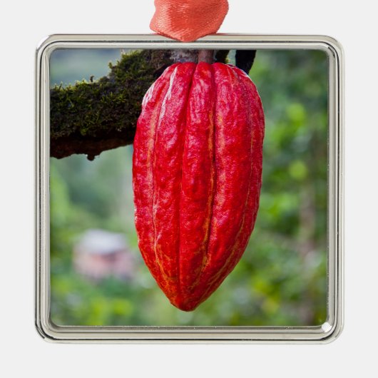 Ornement Métallique boîte de cacao rouge (Devant)