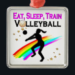 ORNEMENT MÉTALLIQUE BOUTEILLE, DORMIR, VOLLEY-BALL<br><div class="desc">Montrez votre adoration pour le volleyball avec notre joli citation arc-en-ciel sur les Tee - shirts, Vêtements, Bijoux, Vaisselle, Décoration des chambres, Affiches et une excellente sélection de cadeaux de www.zazzle.com/mysportsstar. Mange, Dort, Train, Volley. Ce joueur dynamique de volley-ball était censé être une star du sport. Nos fantastiques créations de...</div>