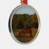 Ornement Métallique Brown horse in the Sun (Droite)