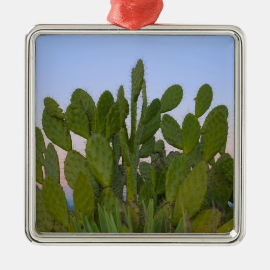 Ornement Métallique Cactus et sisal en forêt sèche (Devant)