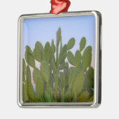 Ornement Métallique Cactus et sisal en forêt sèche (Gauche)