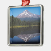 Ornement Métallique Capot de bâti reflété dans le lac (Gauche)