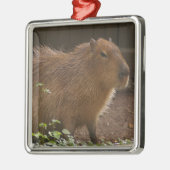 Ornement Métallique Capybara (Gauche)