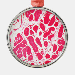 Ornement Métallique Cellules de testicule sous le microscope