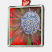 Ornement Métallique Centre d'une agave en fleurs - San Francisco (Gauche)