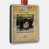 Ornement Métallique C'est Caturday ? (Droite)