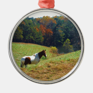 Ornement Métallique Cheval blanc et Brown, étang d'automne