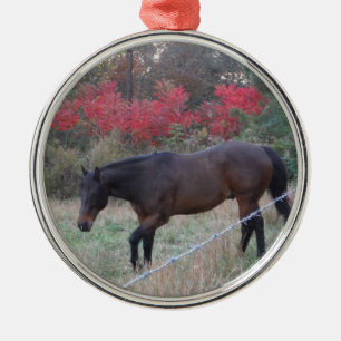 Ornement Métallique Cheval Brown dans les arbres d'automne rouges
