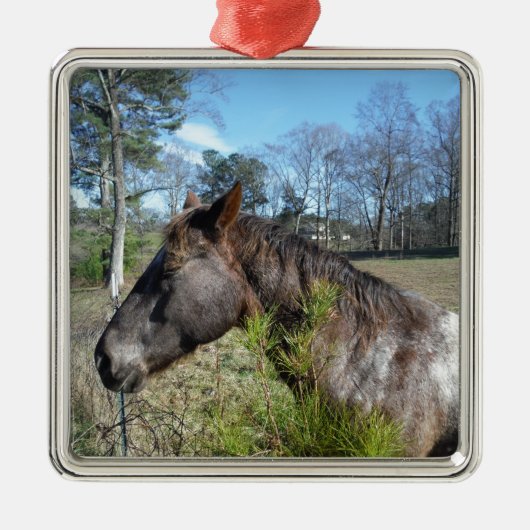 Ornement Métallique Cheval de couleur Coco et Crème (Devant)