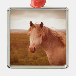 Ornement Métallique cheval sauvage vintage