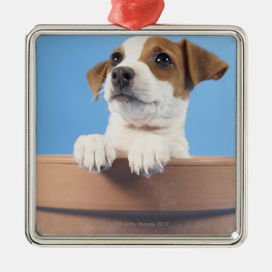 Ornement Métallique Chien dans le pot de fleurs (Devant)
