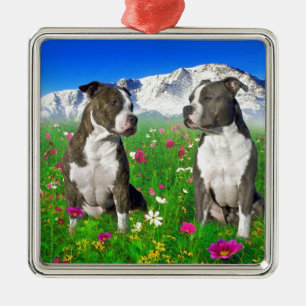 Ornement Métallique Chiens Brindle et bleus du Staffordshire et de
