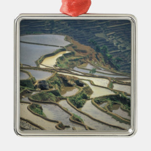 Ornement Métallique Chine, province du Yunnan. Rizières inondées de