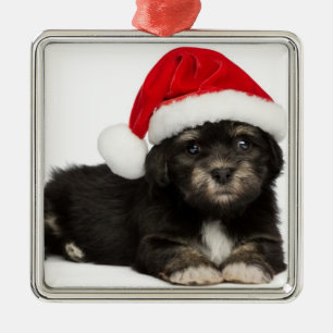 Ornement Métallique Chiot mignon de Havanese de Noël