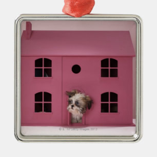 Ornement Métallique Chiot scrutant hors de la maison de poupée
