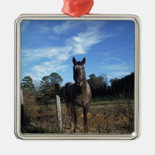 Ornement Métallique Chocolat au lait Cheval Brown en bleu (Devant)