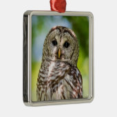 Ornement Métallique Chouette barrée (Droite)