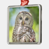 Ornement Métallique Chouette barrée (Gauche)